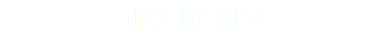 DISSENY WEB